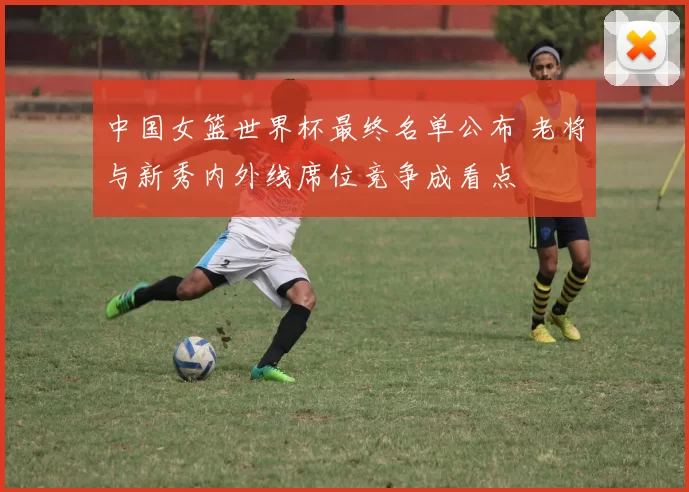 中国女篮世界杯最终名单公布 老将与新秀内外线席位竞争成看点