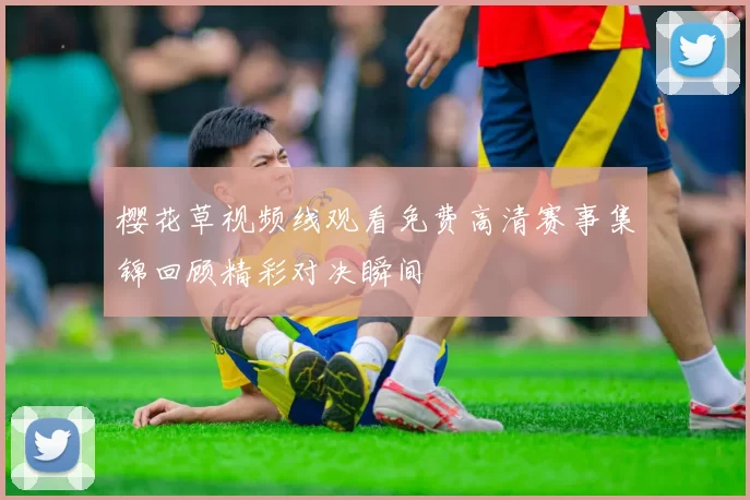樱花草视频线观看免费高清赛事集锦回顾精彩对决瞬间